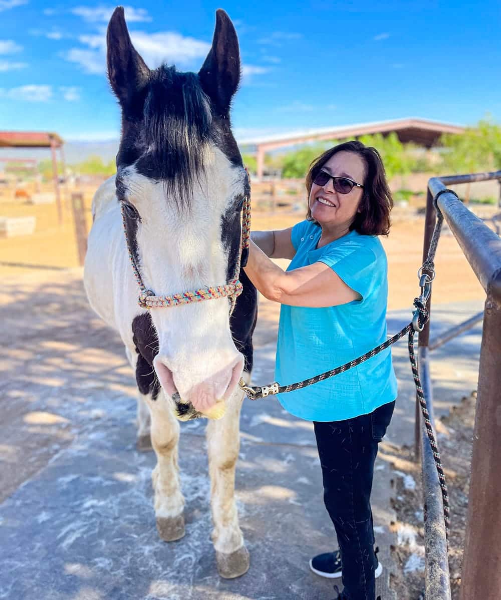 woman brushing a paint horse