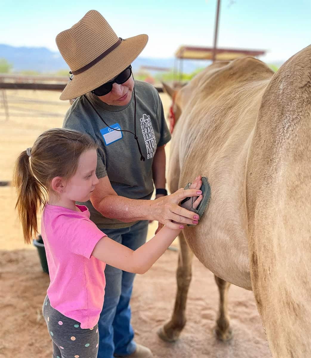 Adult woman showing a little girl how to brush a horse